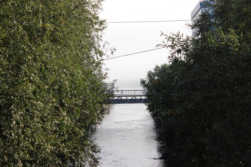    Туман в Барнауле. Источник: Евгения Кочеткова/"Толк"