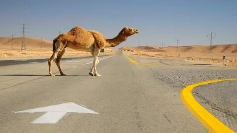 Вёз дизель для буровой. На трассе Астрахань—Элиста