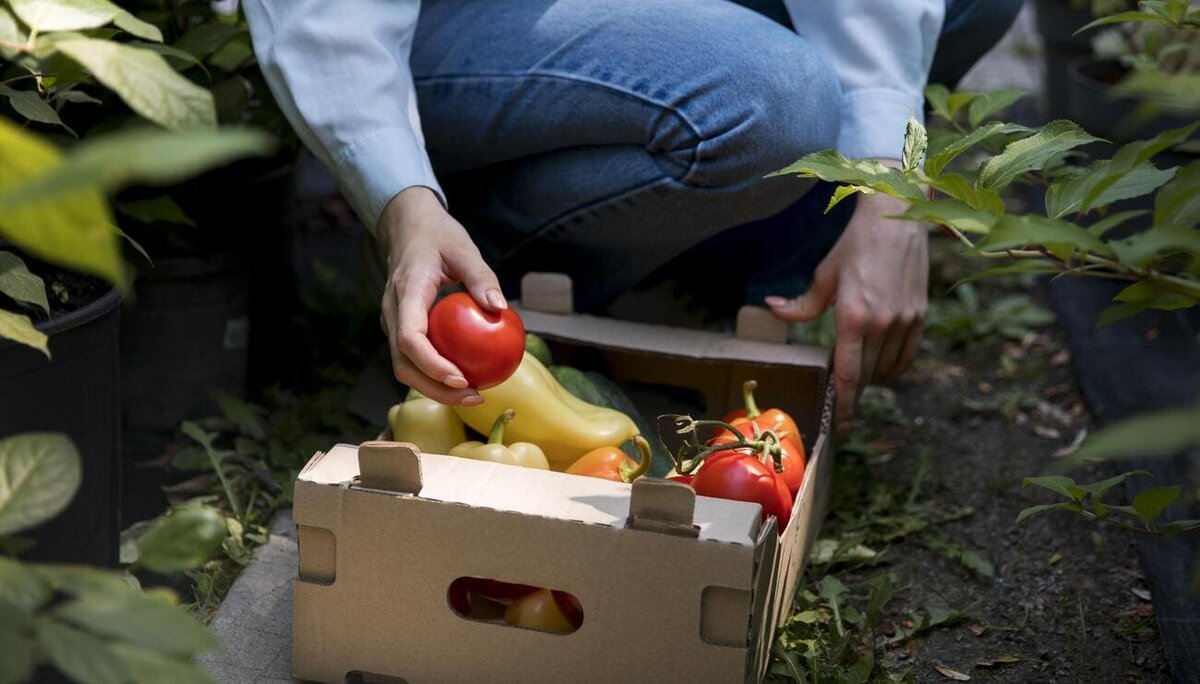 
Фото: freepik.com