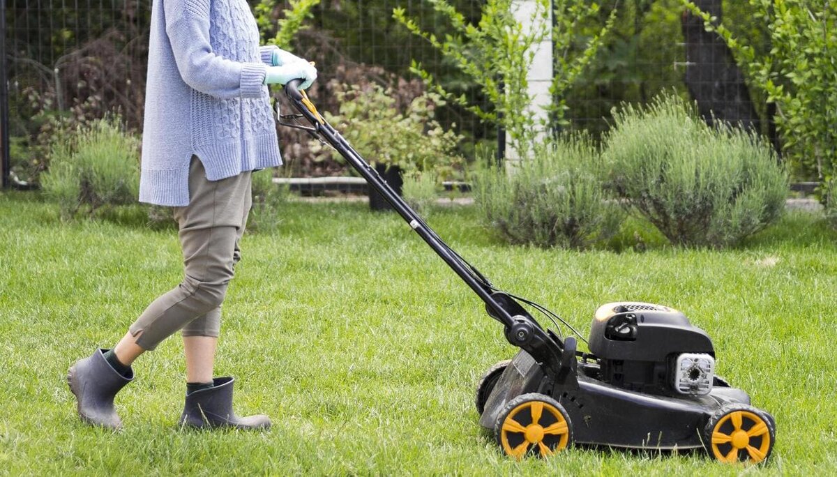 
Фото: freepik.com