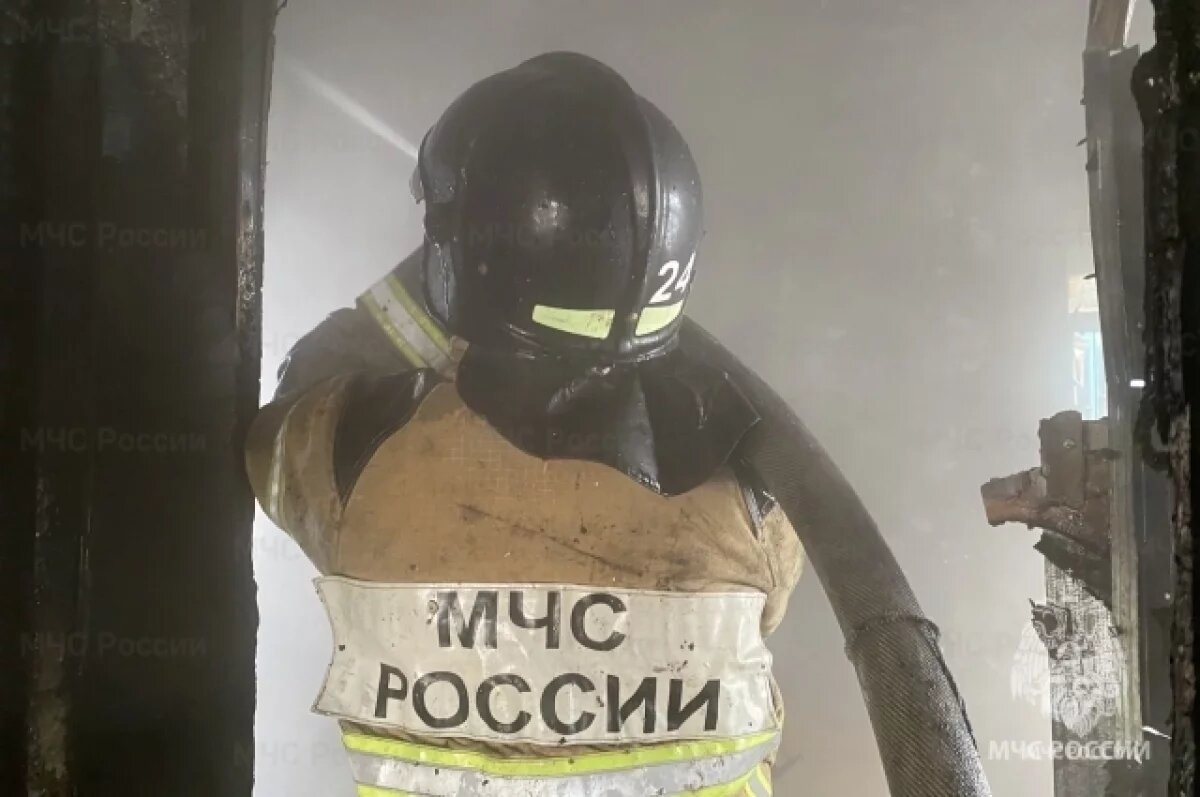    В пожаре на Сиреневом бульваре в Петербурге пострадал мужчина