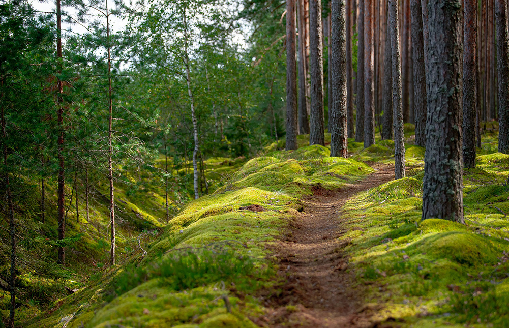 Погода в Твери 2 сентября. Бабье лето
