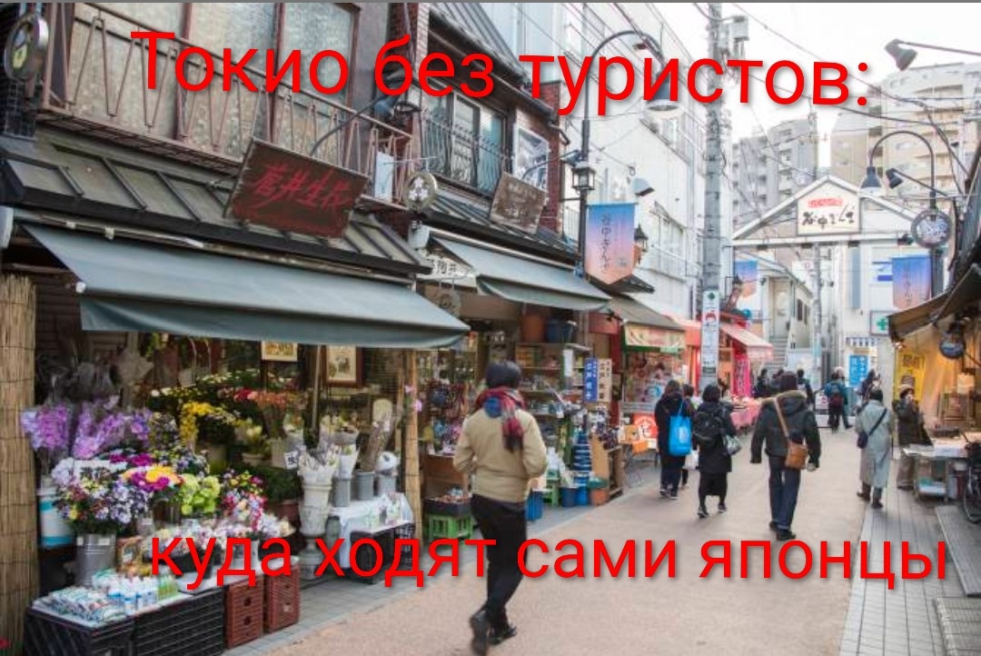 Фото из открытых источников.Старинные лавки Янэсэна. Здесь можно бесконечно бродить, заглядывая в цветочные магазинчики и маленькие кафешки.»