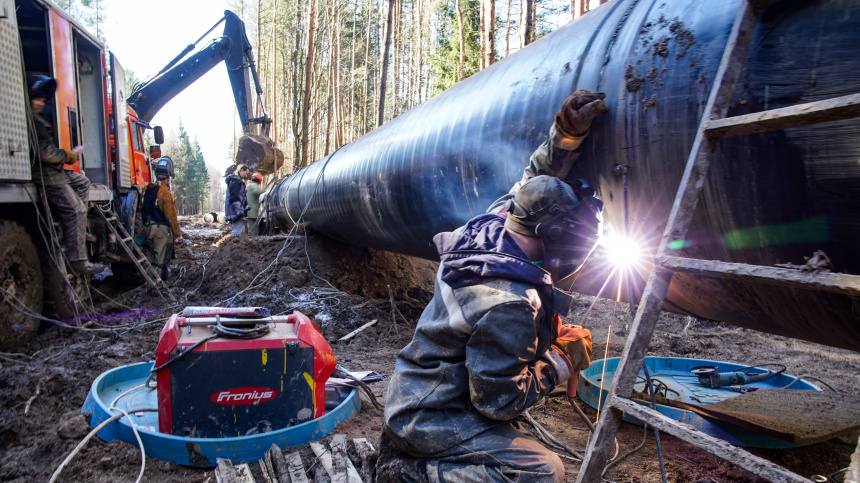    Фото: ИЗВЕСТИЯ/Сергей Лантюхов; 5-tv.ru