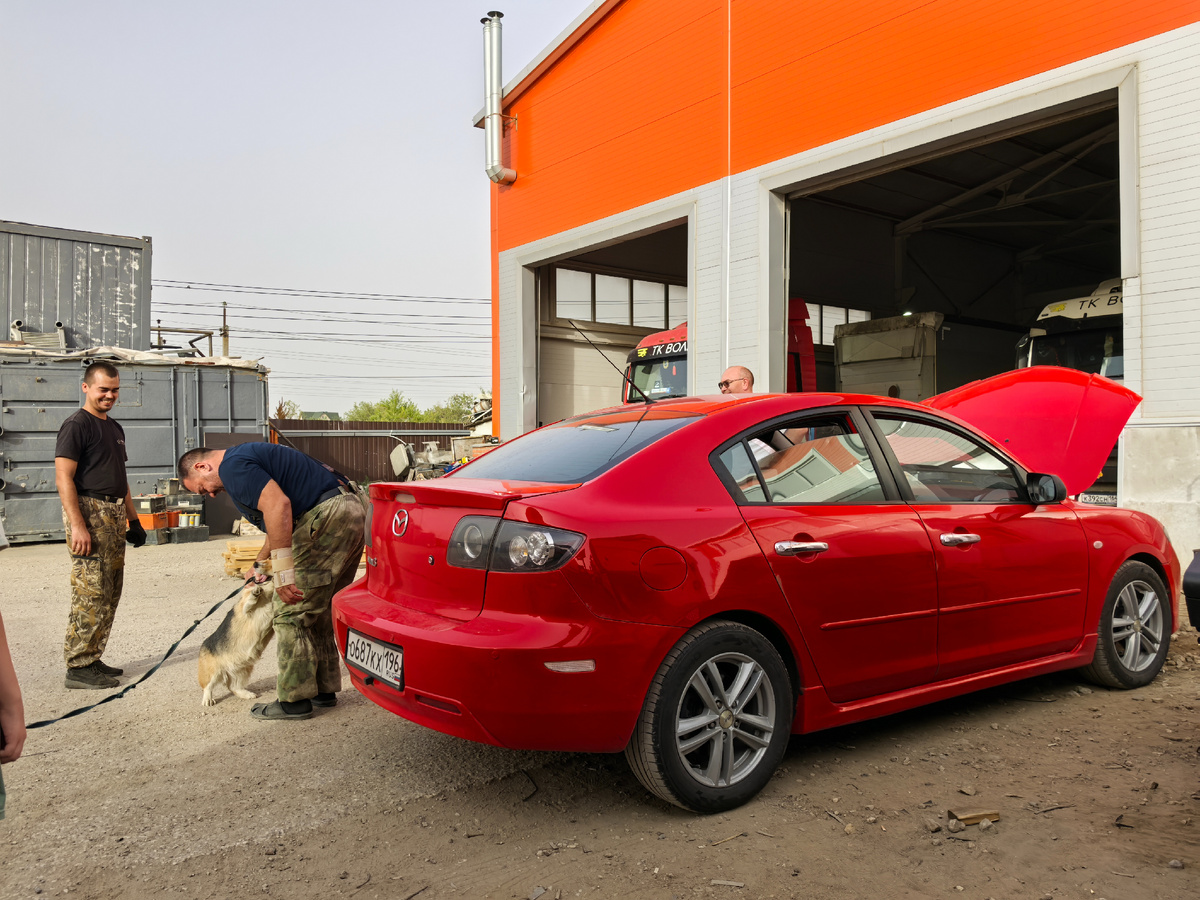 Минута славы 😂