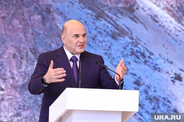    Михаил Мишустин поддержал малый бизнес региона субсидиями