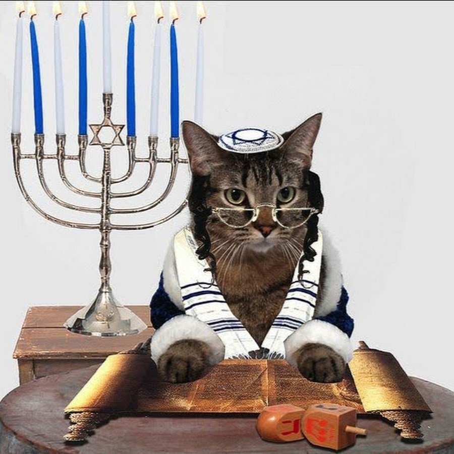 Вашему новому другу нужно особенное имя. Знакомьтесь, это Ари.