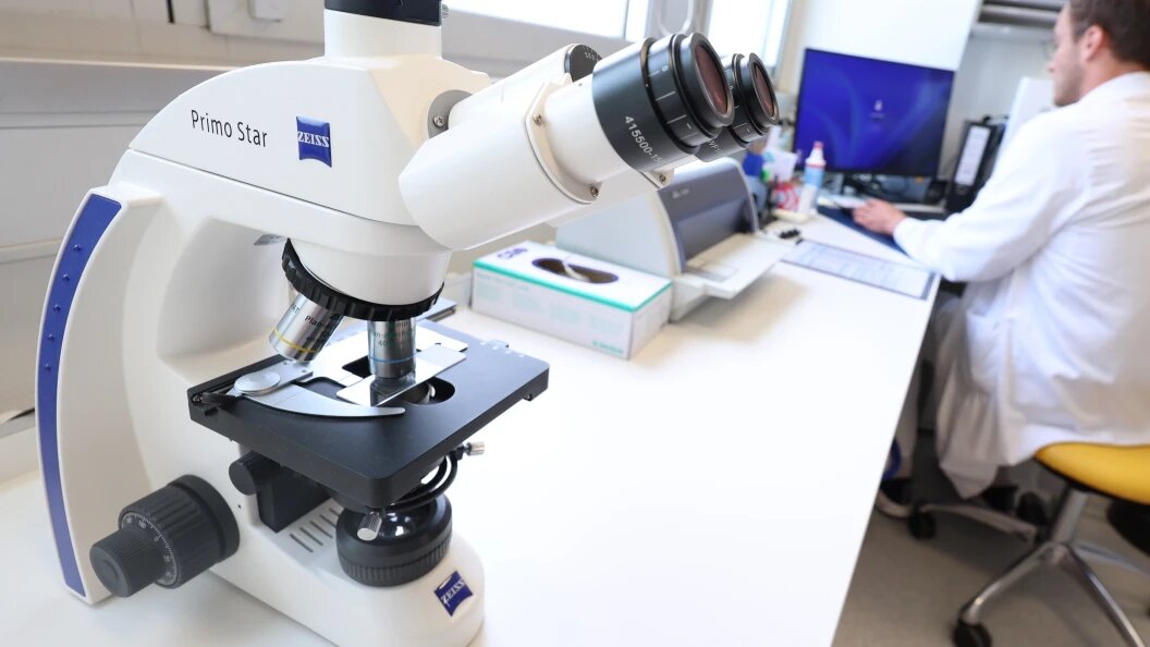    Фото: Karl-Josef Hildenbrand /Globallookpress