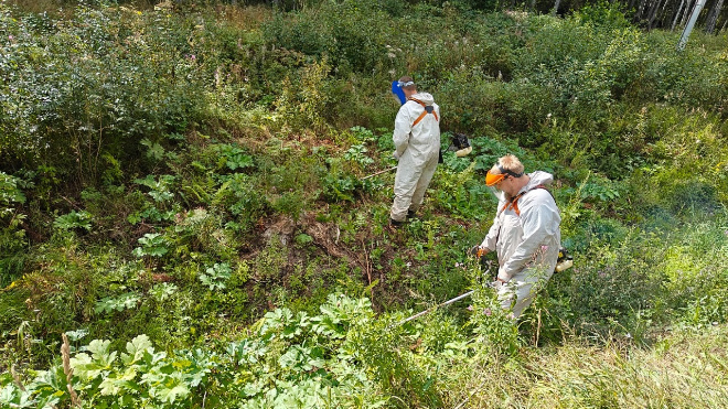 Фото: Всероссийское общество охраны природы (СПб и ЛО)