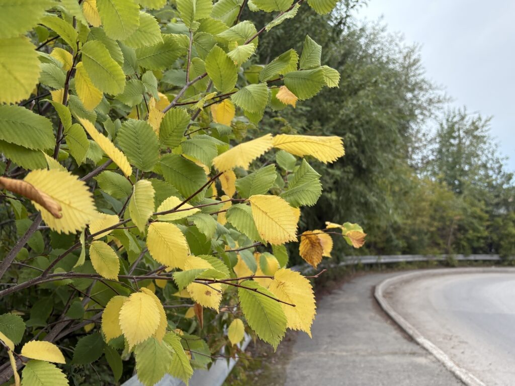    Фото: v-kurse.ru Ольга Гилёва