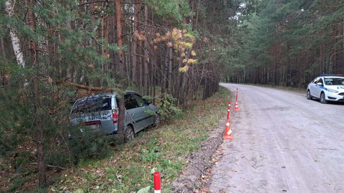    Смертельное ДТП произошло 1 сентября под Тюменью. Фото: пресс-служба Госавтоинспекции Тюменской области