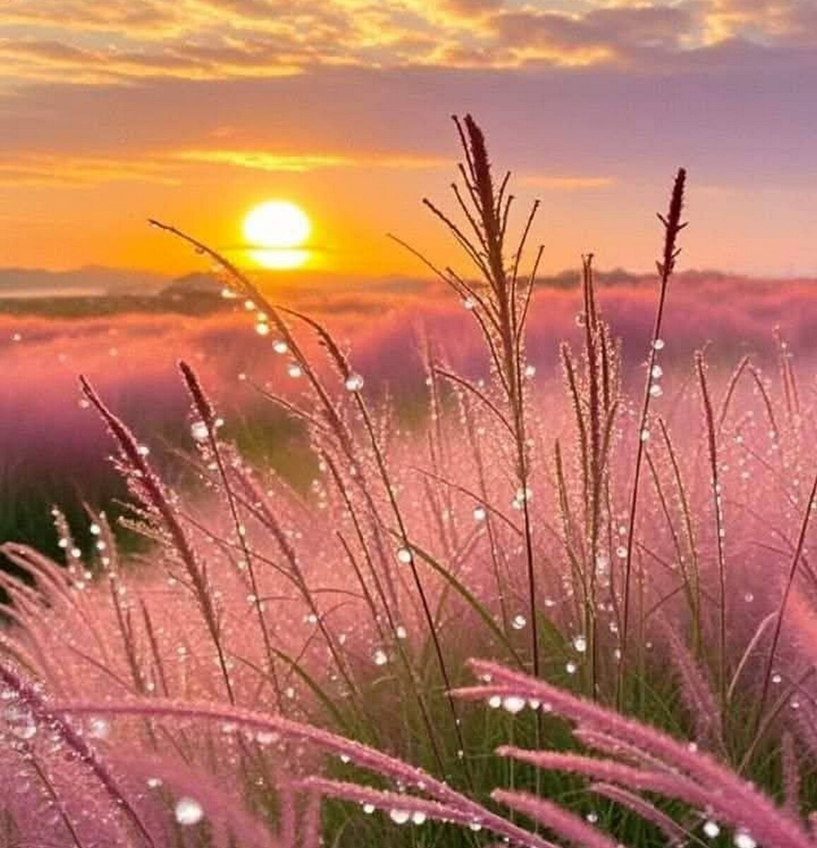 Пинтерест. Laura Brito Nascimento
