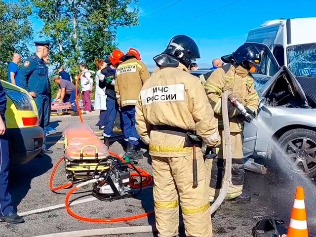    Фото: телеграм-канал "Госавтоинспекция Амурской области"