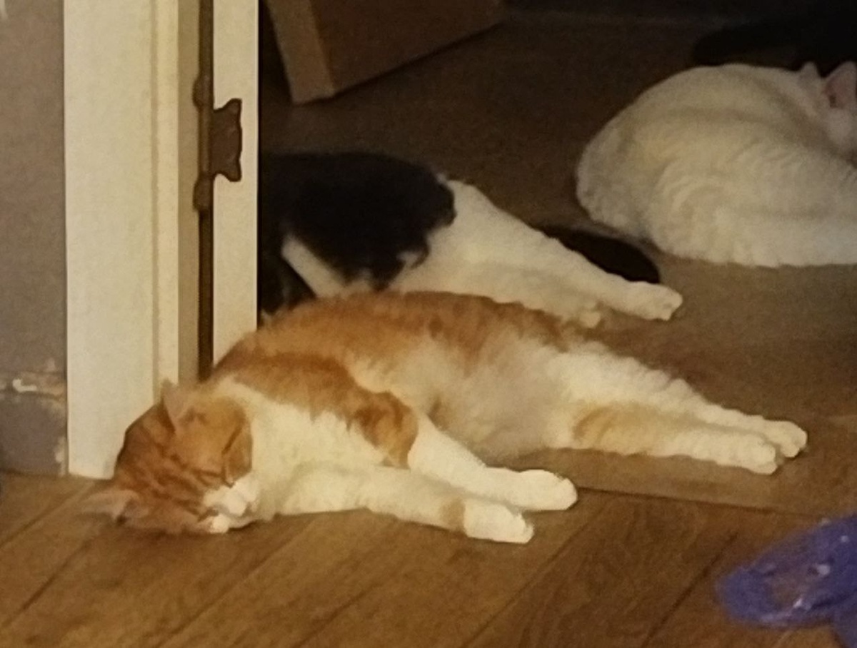 Это вы вечно на диетах. а я своими формами очень даже доволен