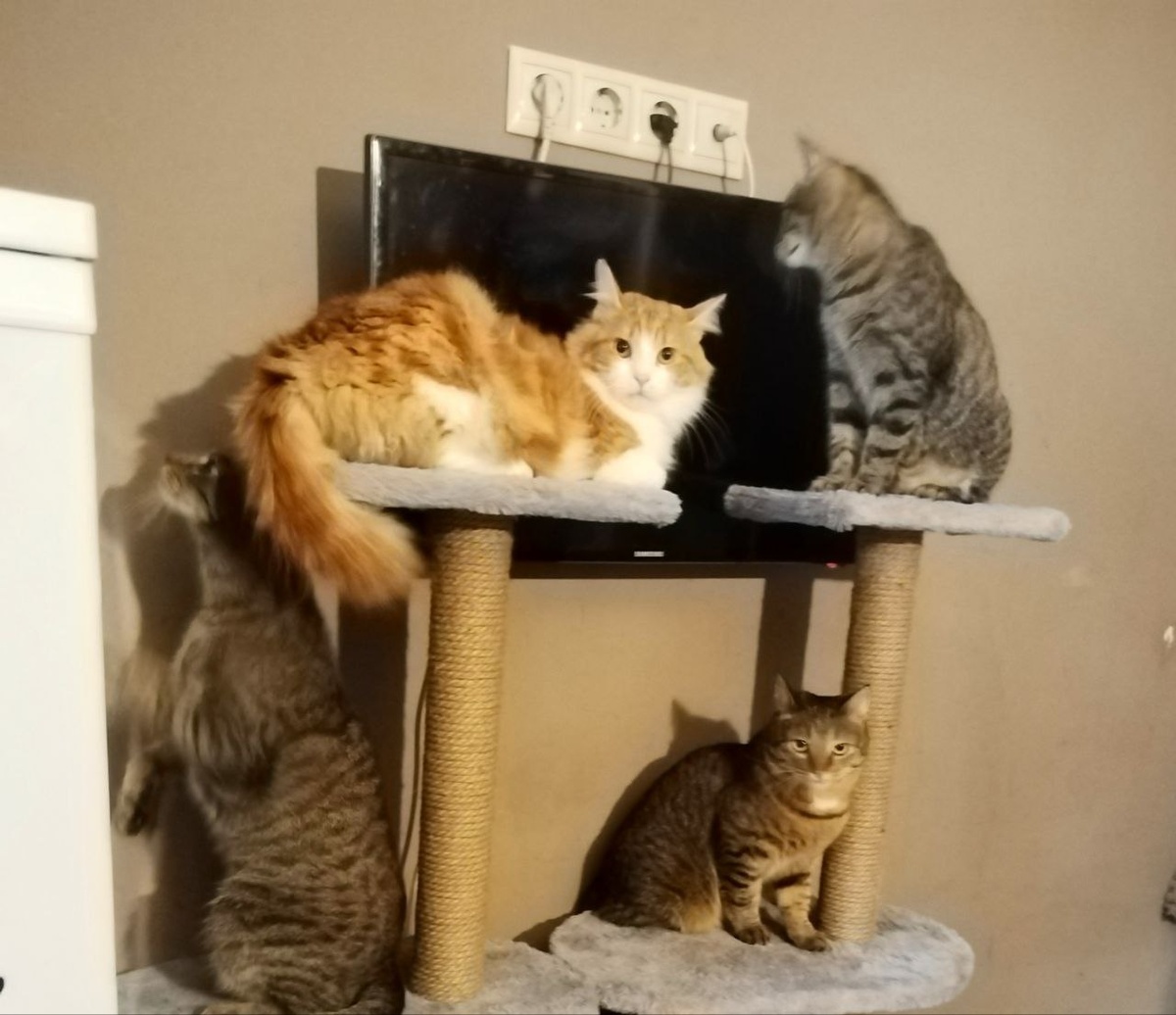 Точно в отца красавчика!