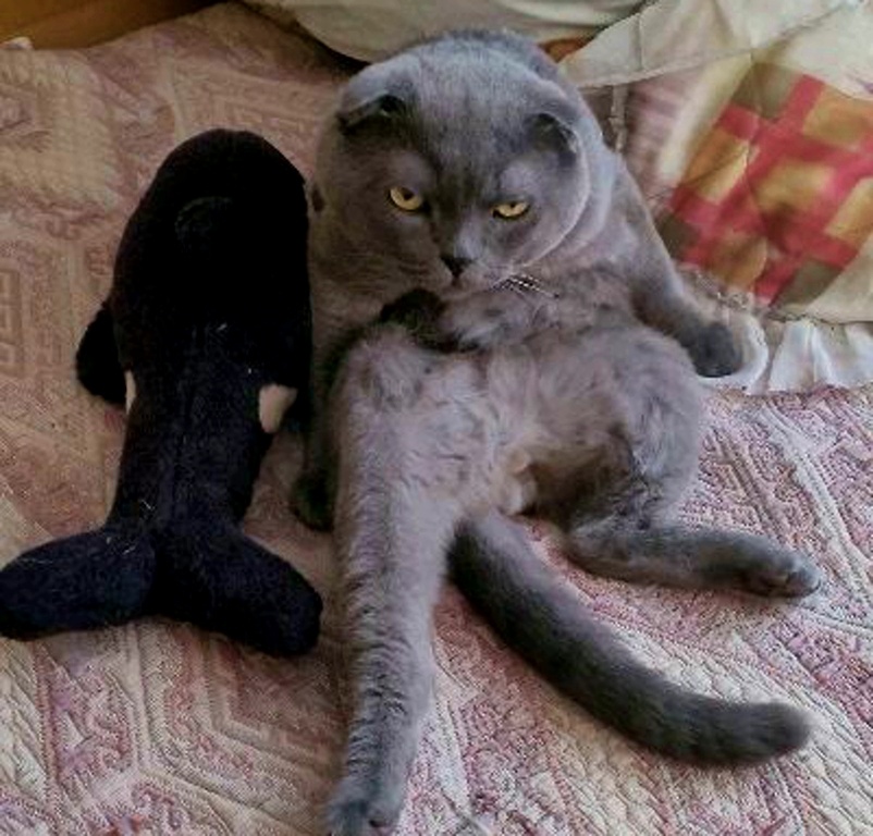 Нордический взгляд...