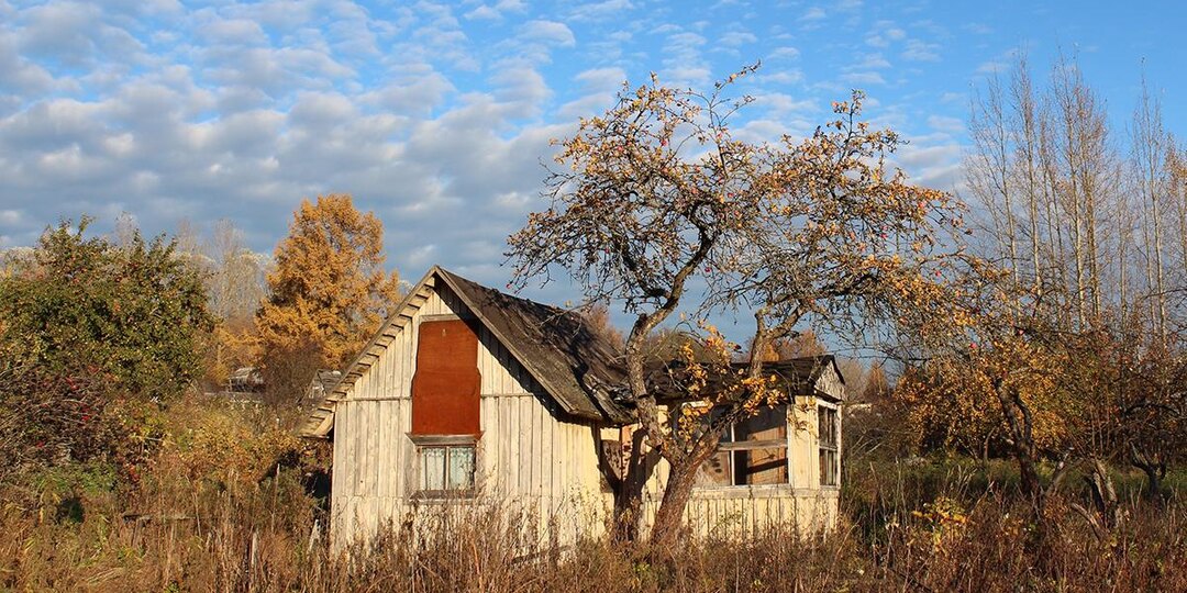 Заработал закон о признаках неиспользования земли: когда грозит изъятие