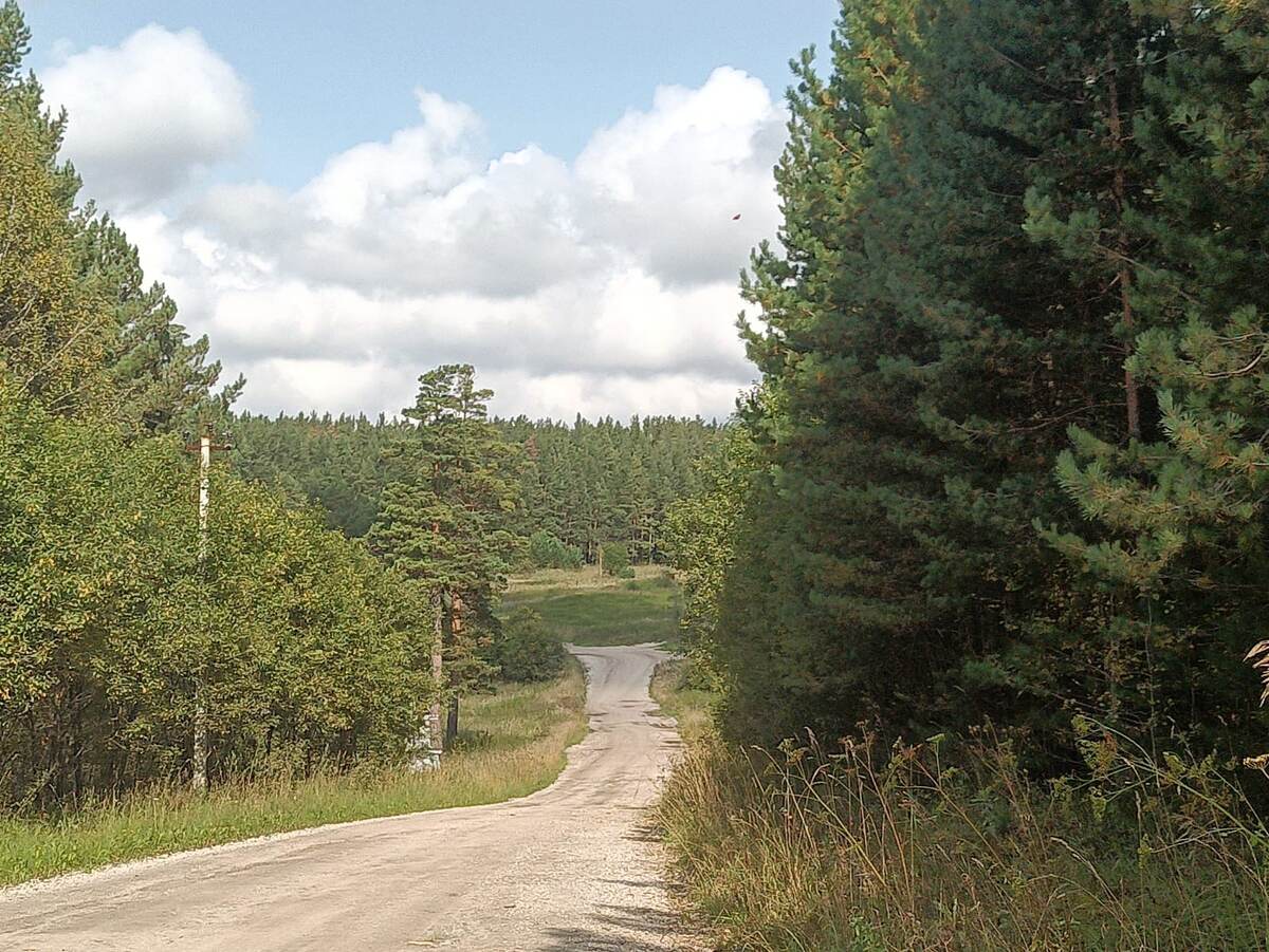 Дорога заканчивается тройной развилкой: на лево - к водопаду, прямо - к воротам, на право - к карьеру. Машину оставила как раз на обочине этой развилки, так как дорога к воротам была не проходимой (я, заранее, почитала отзывы).