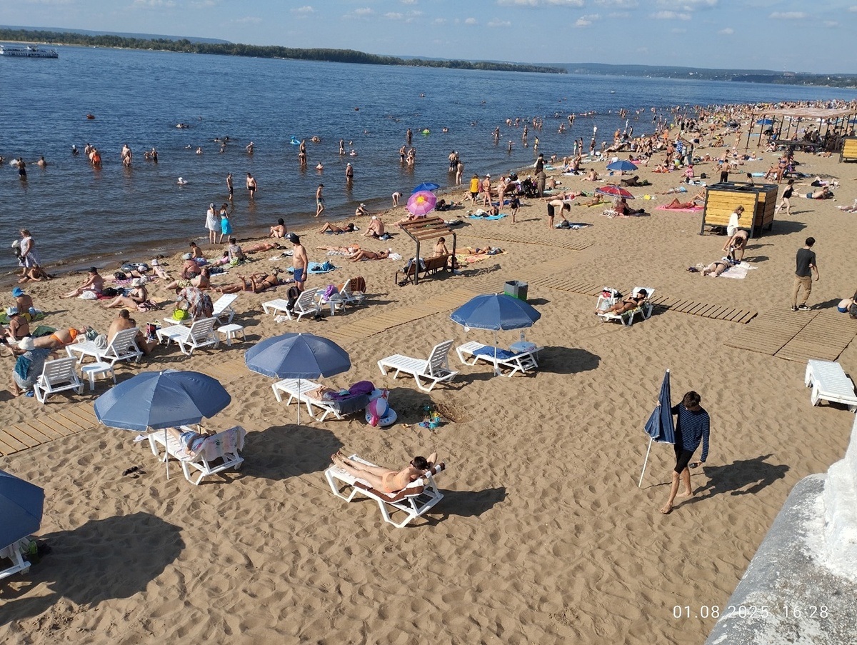    Фото: Дмитрий Павлов