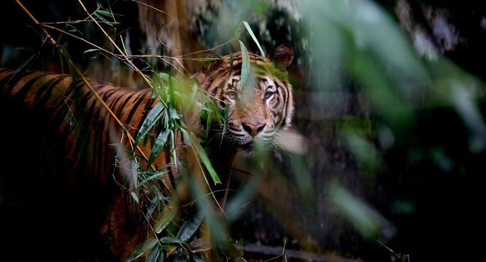    U Aung/Xinhua / www.globallookpress.com