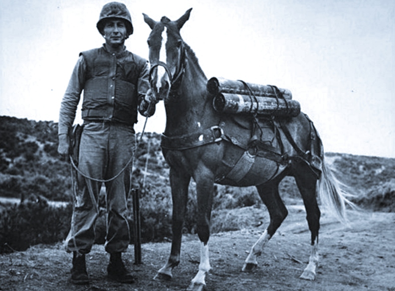 Сержант КМП США Джозеф Летэм и героиня статьи.