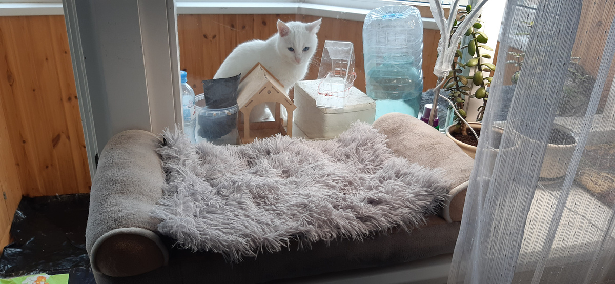 Царская лежанка для Мии Бусильдовны.