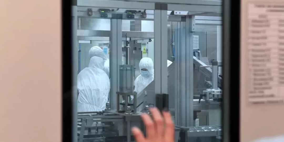 Экспериментальное лечение полностью избавило от рака собаку, которой оставалось жить несколько месяцев