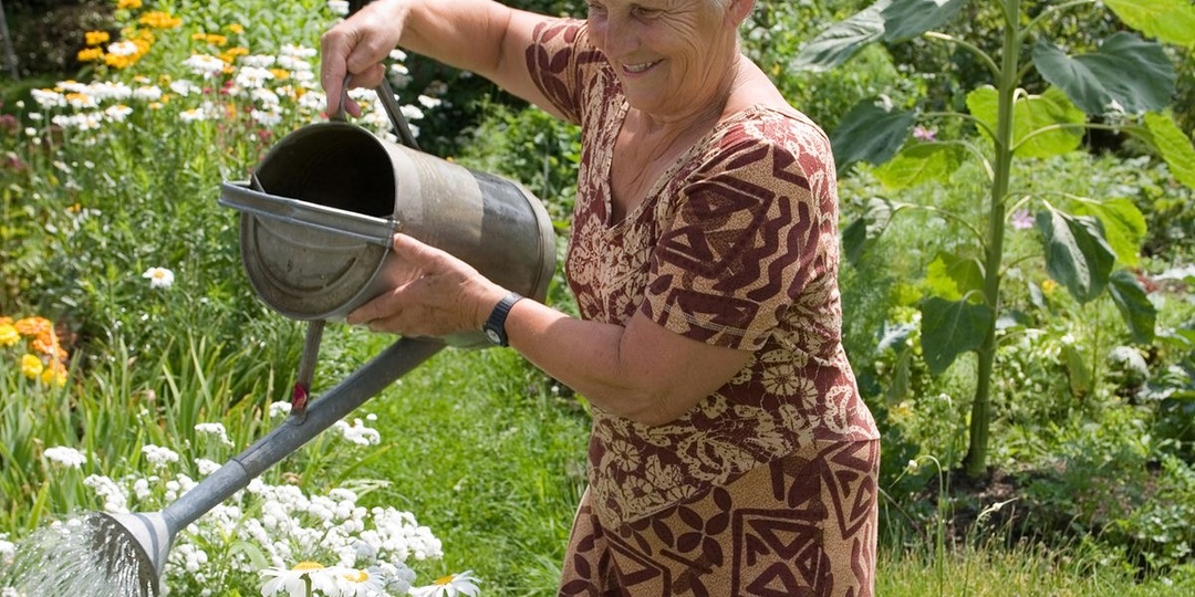 Я ОТ ЭТОГО ОТКАЗАЛАСЬ и моя жизнь стала лучше: простые советы для начинающих садоводов