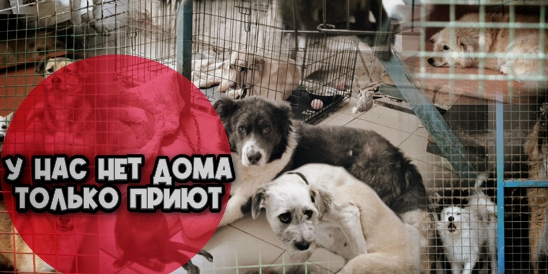 507 жизней оборвутся в один миг!