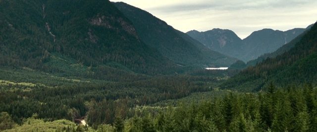    Кадр из фильма «Сумерки. Сага. Затмение.»