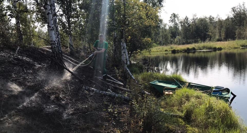    Комитет лесного хозяйства Московской области