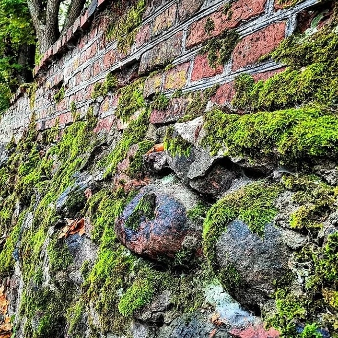 Фото из интернета 