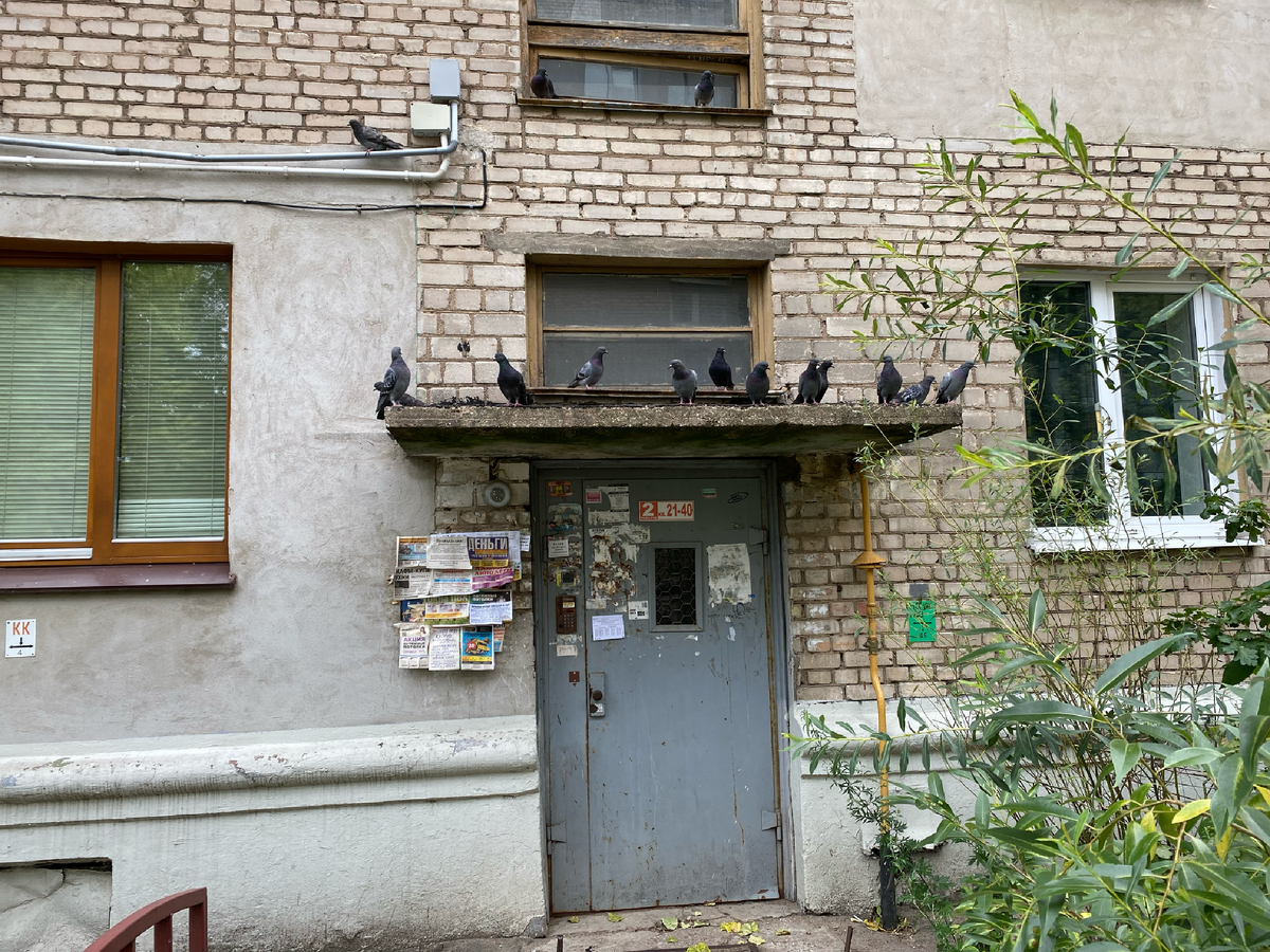 Одна из "Хрущевок" до ремонта.