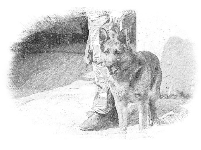 Кушникова после задержания в 2019 году сразу отправили в СИЗО