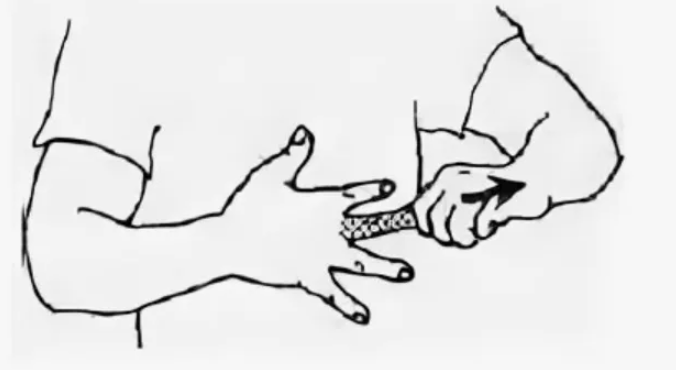 листаем галерею -->