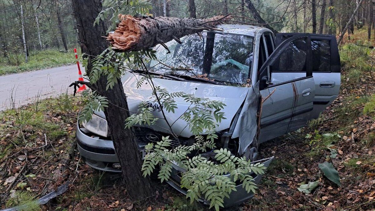    Фото: t.me/gibdd72