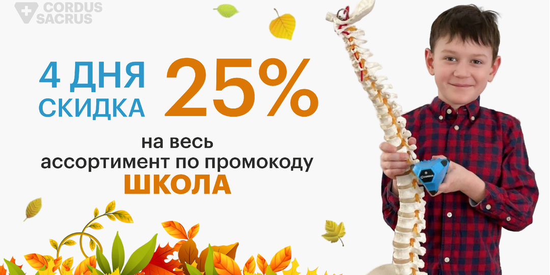 Здоровая осанка и спина — в подарок к школе! Успейте купить массажеры со скидкой 🔥