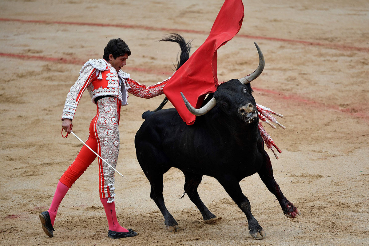 Из открытых источников.