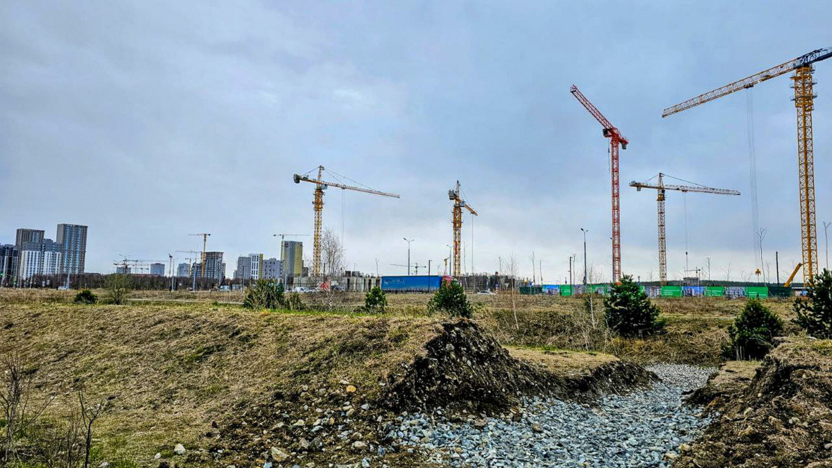 Земельный участок рассматривали для строительства школы на 1100 мест, однако планы изменились.  Фото: Фото: ФедералПресс / Марина Волкова