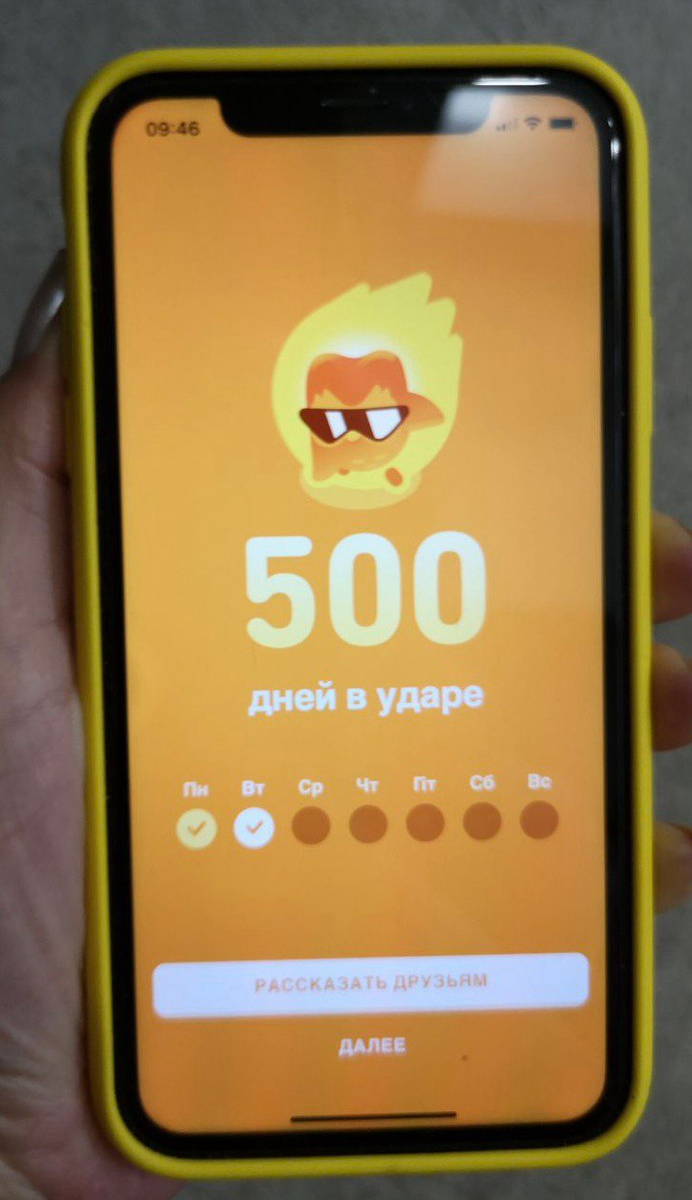 Мои успехи в Duolingo. Фото автора