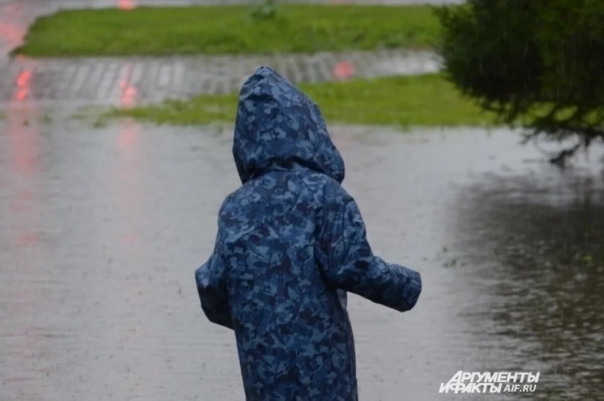    Туманы, грозы и дожди ожидаются в Удмуртии 3 сентября