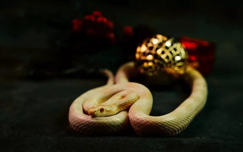    Идеи, гармония и романтика: какие знаки гороскопа 3 сентября окажутся в центре внимания?