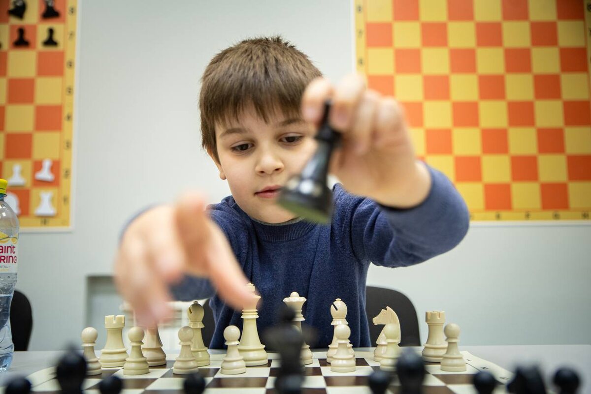 Фото: тг-канал Сергея Котлярова