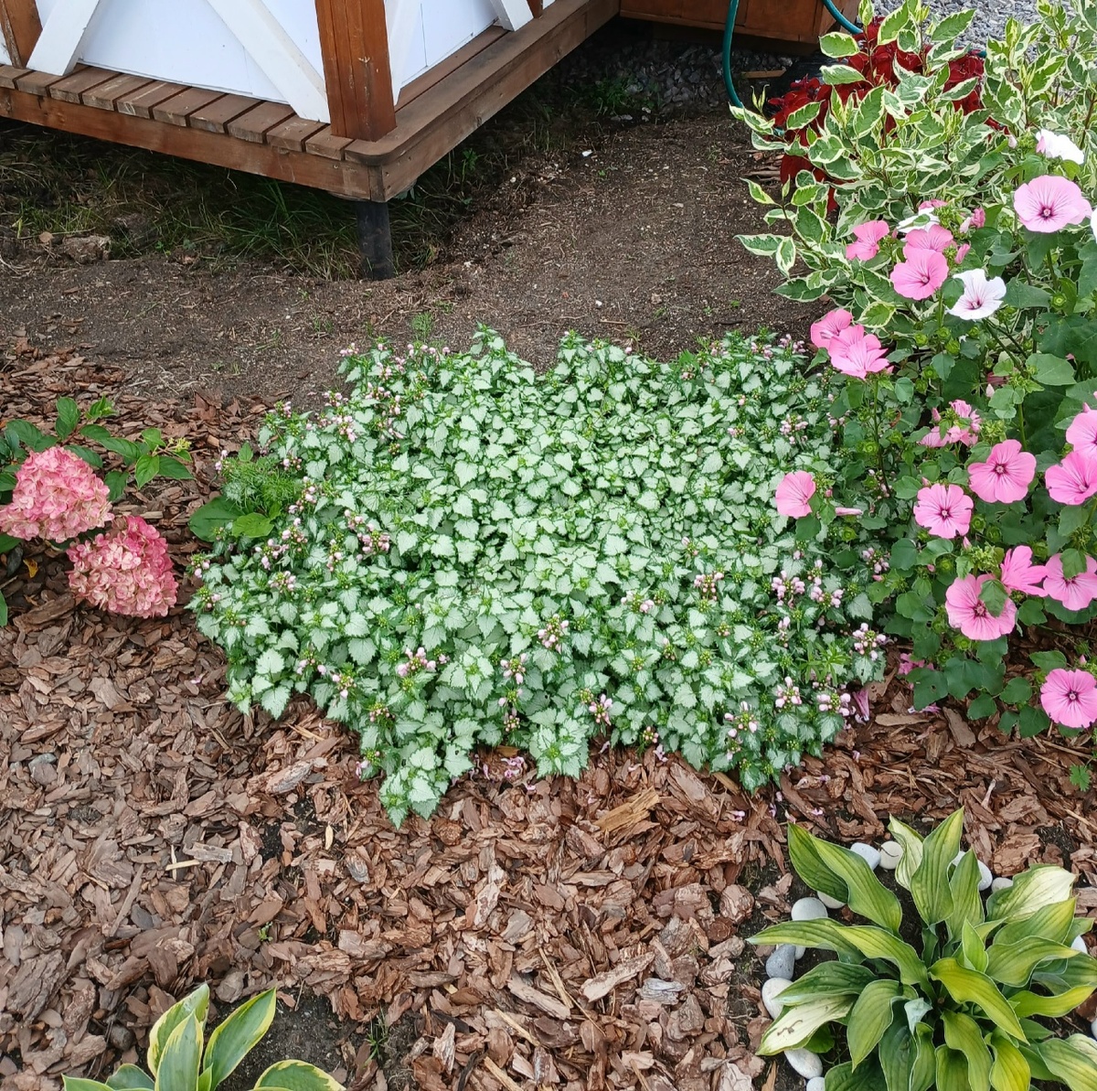 месяц спустя