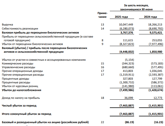 Инарктика отчет за 6 месяцев 2025 года