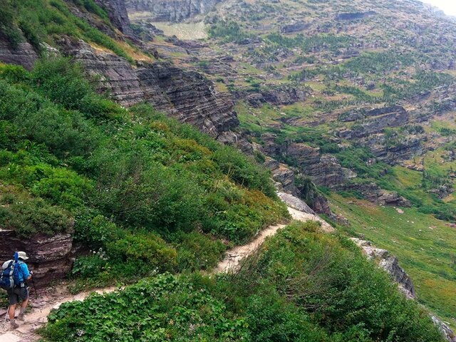    Фото: AP Photo/Erin Gartner