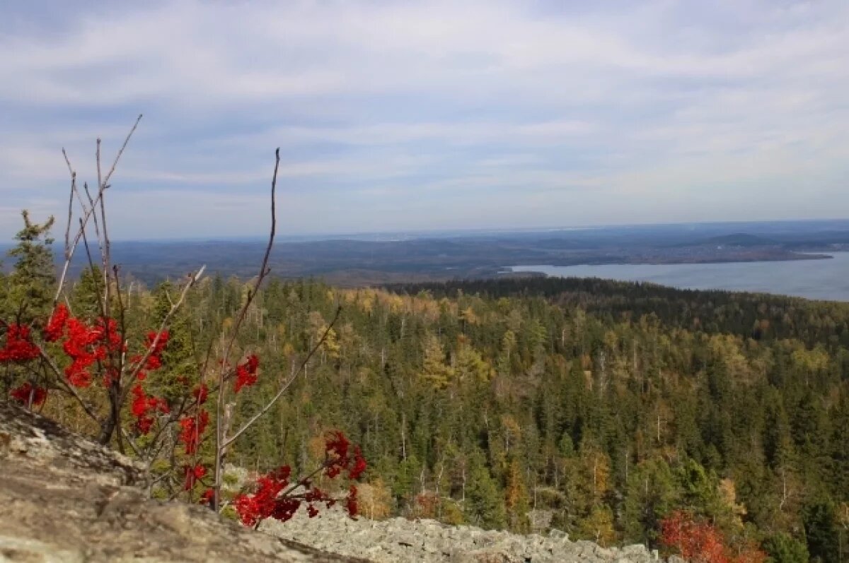    Прохладно и дождливо будет в Свердловской области до конца недели