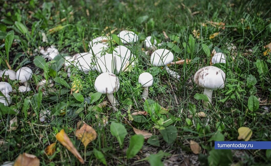  Фото Екатерины Христозовой