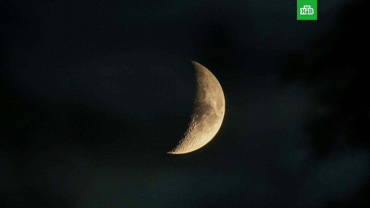    Фото: Laura Cleffmann/ unsplash.com