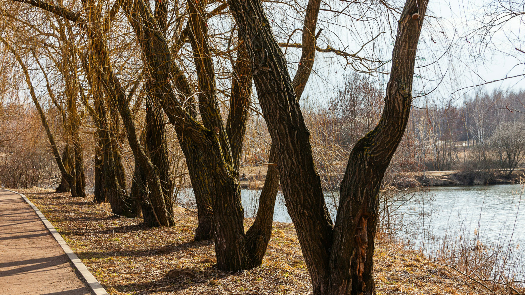    Roman Denisov/Globallookpress